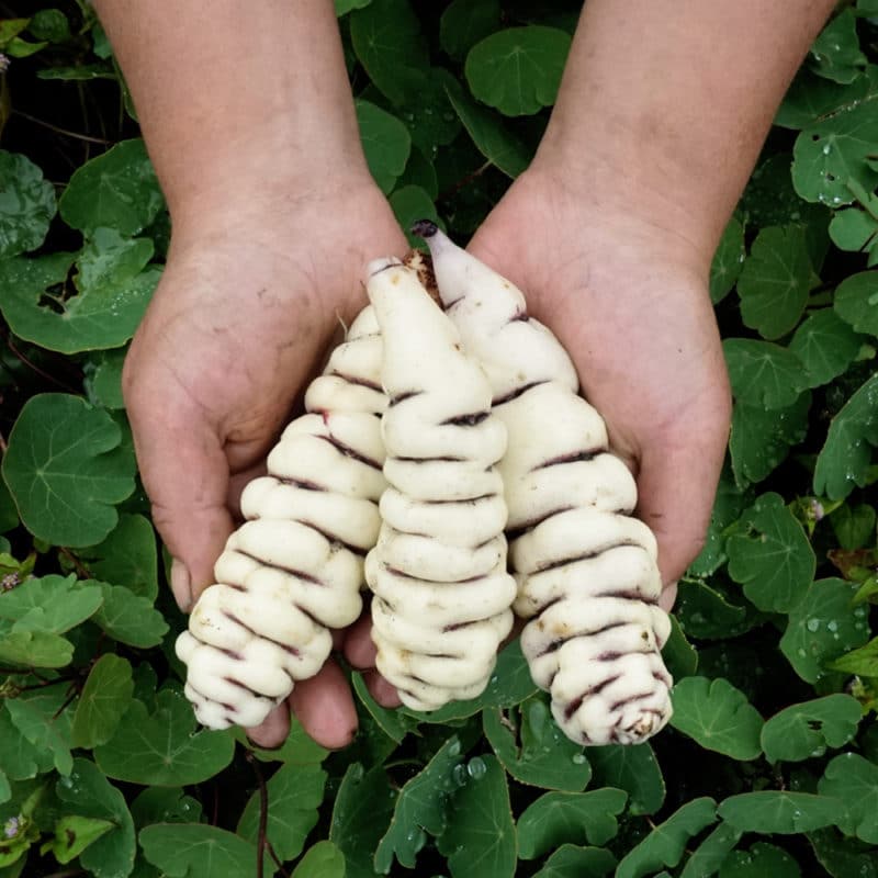 Cubios (500g)