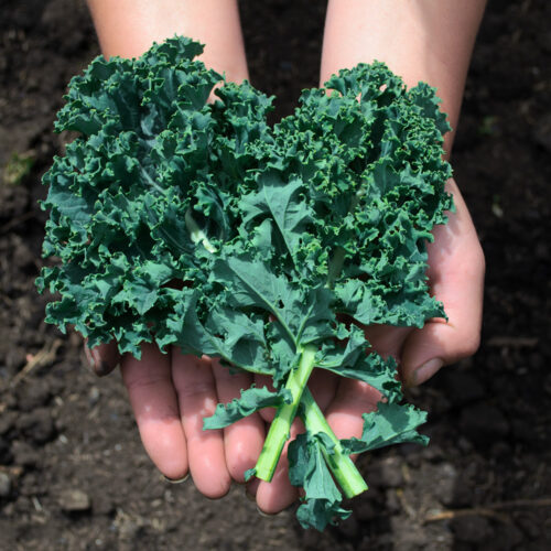 Kale Crespo