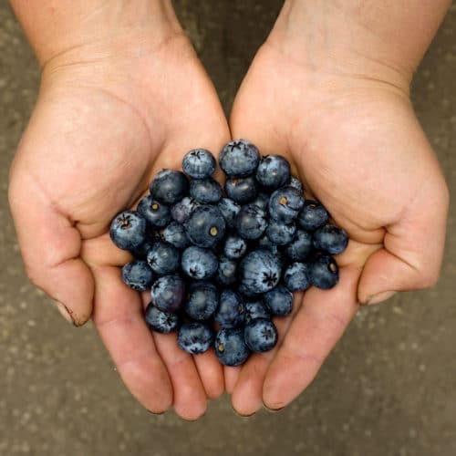 Arándanos (250g)