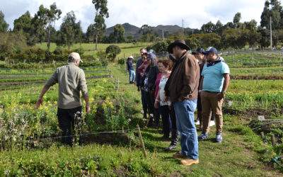 Vive el agroturismo en Finca Tagua