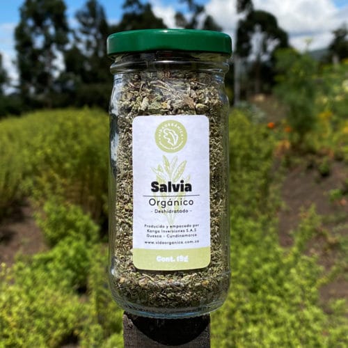 Salvia Seca