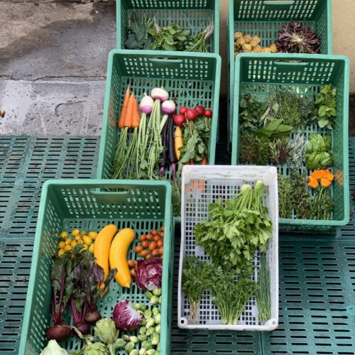 Mercado de Temporada